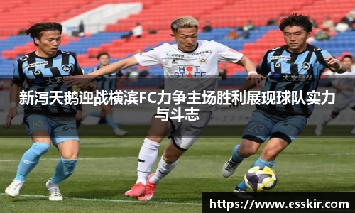 28圈注册链接入口