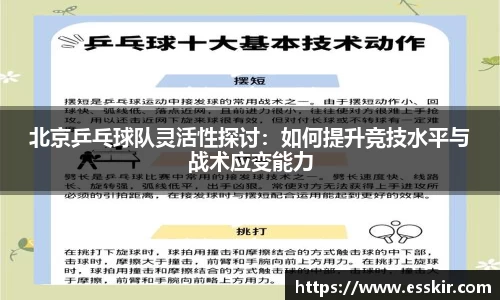 北京乒乓球队灵活性探讨：如何提升竞技水平与战术应变能力