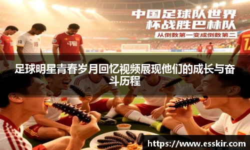 28圈注册链接入口